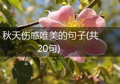 秋天伤感唯美的句子(共20句)