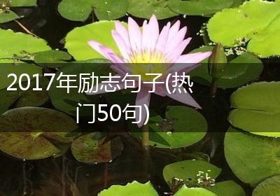 2017年励志句子(热门50句)
