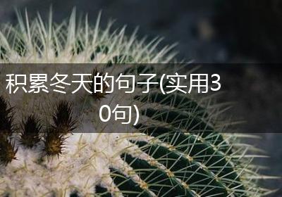 积累冬天的句子(实用30句)
