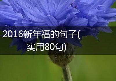 2016新年福的句子(实用80句)