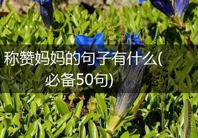 称赞妈妈的句子有什么(必备50句)