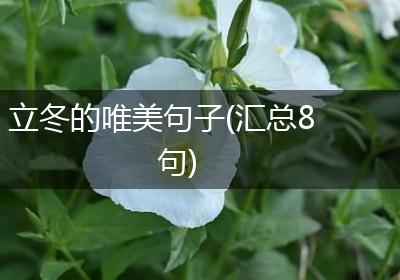立冬的唯美句子(汇总8句)