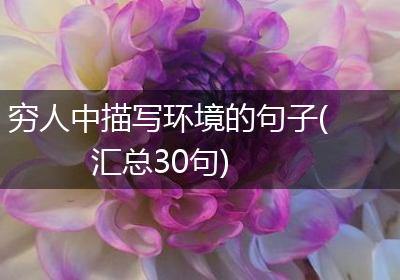 穷人中描写环境的句子(汇总30句)