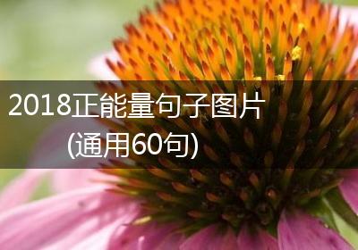 2018正能量句子图片(通用60句)