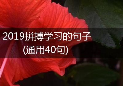 2019拼搏学习的句子(通用40句)