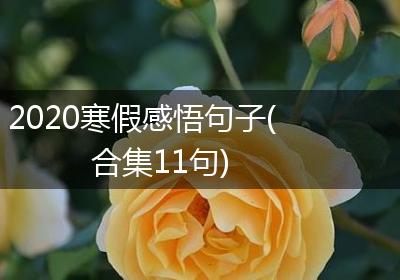 2020寒假感悟句子(合集11句)