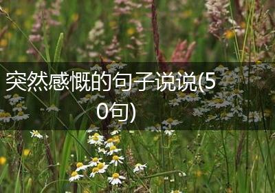 突然感慨的句子说说(50句)