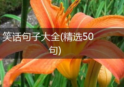 笑话句子大全(精选50句)