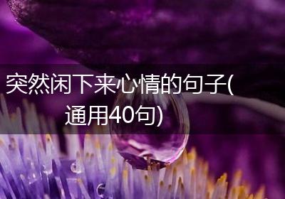 突然闲下来心情的句子(通用40句)