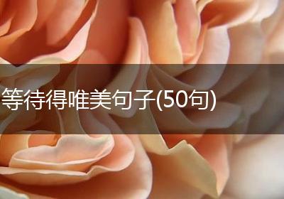 等待得唯美句子(50句)