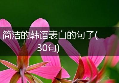 简洁的韩语表白的句子(30句)