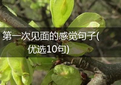 第一次见面的感觉句子(优选10句)