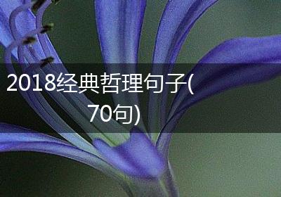 2018经典哲理句子(70句)