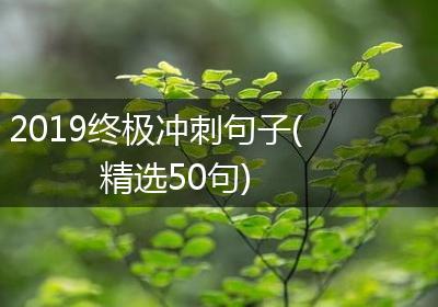 2019终极冲刺句子(精选50句)