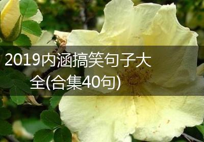 2019内涵搞笑句子大全(合集40句)
