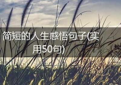 简短的人生感悟句子(实用50句)