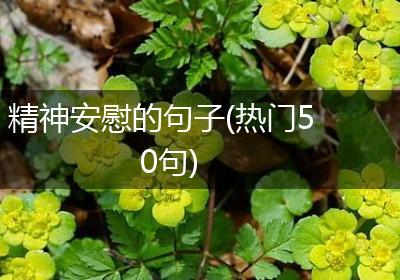 精神安慰的句子(热门50句)