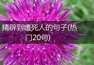 精辟到噎死人的句子(热门20句)