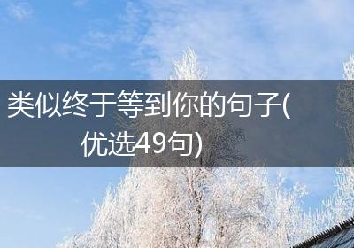 类似终于等到你的句子(优选49句)
