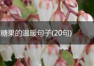 糖果的温暖句子(20句)