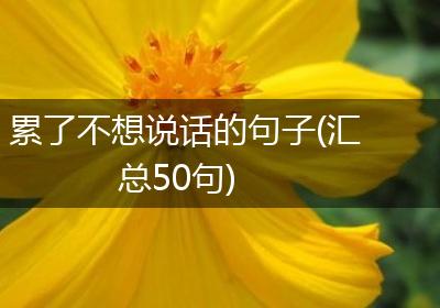累了不想说话的句子(汇总50句)