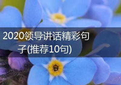 2020领导讲话精彩句子(推荐10句)