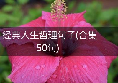 经典人生哲理句子(合集50句)
