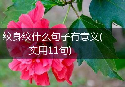 纹身纹什么句子有意义(实用11句)