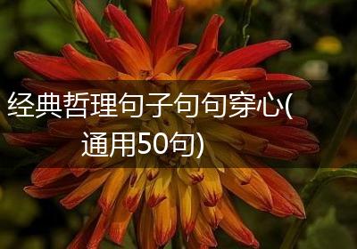 经典哲理句子句句穿心(通用50句)