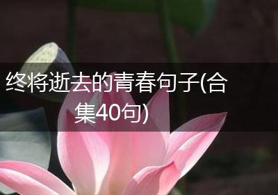 终将逝去的青春句子(合集40句)