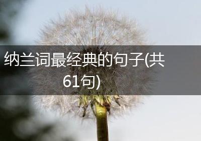 纳兰词最经典的句子(共61句)
