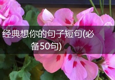 经典想你的句子短句(必备50句)
