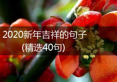 2020新年吉祥的句子(精选40句)
