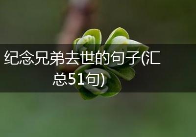 纪念兄弟去世的句子(汇总51句)