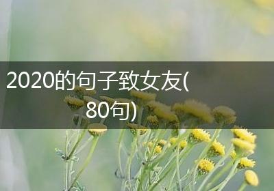 2020的句子致女友(80句)