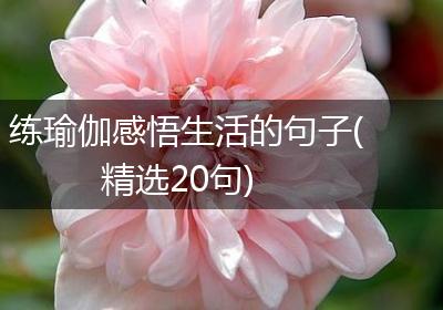 练瑜伽感悟生活的句子(精选20句)