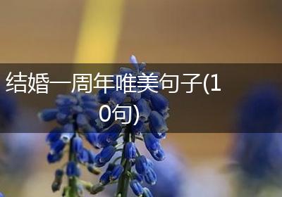 结婚一周年唯美句子(10句)