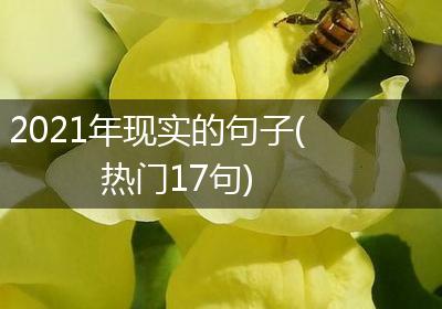 2021年现实的句子(热门17句)
