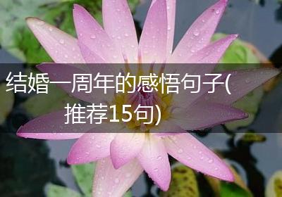 结婚一周年的感悟句子(推荐15句)