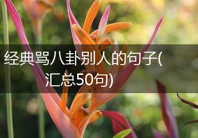 经典骂八卦别人的句子(汇总50句)