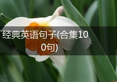 经典英语句子(合集100句)