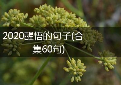 2020醒悟的句子(合集60句)