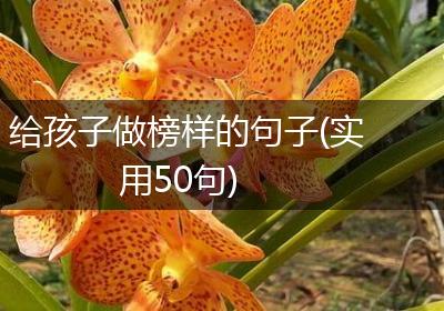 给孩子做榜样的句子(实用50句)