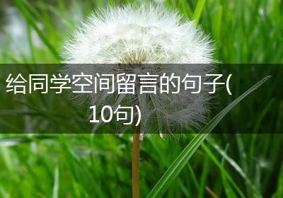 给同学空间留言的句子(10句)