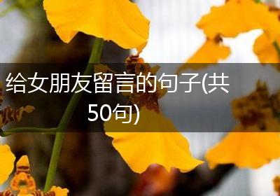 给女朋友留言的句子(共50句)