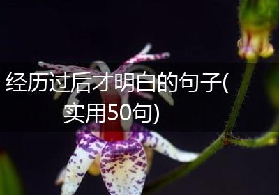 经历过后才明白的句子(实用50句)