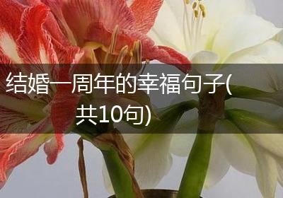 结婚一周年的幸福句子(共10句)