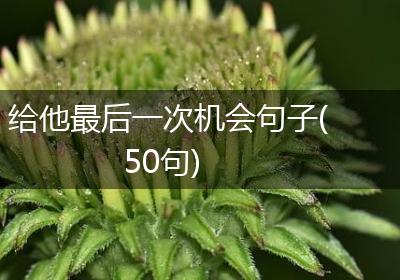 给他最后一次机会句子(50句)
