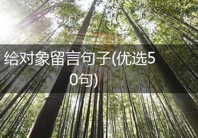 给对象留言句子(优选50句)
