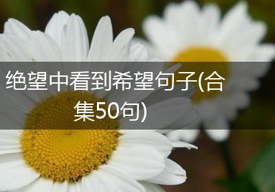 绝望中看到希望句子(合集50句)
